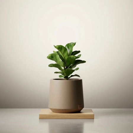 Picture of Plant pot Calun Cement, Ø32cm