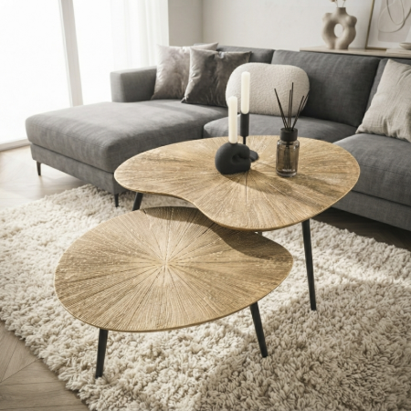 Picture of Organic Coffee Table Miya Ray Metal