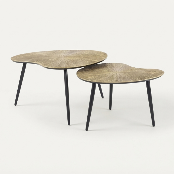 Picture of Organic Coffee Table Miya Ray Metal