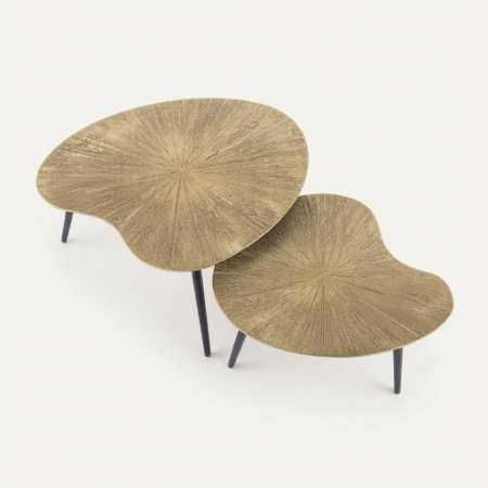Picture of Organic Coffee Table Miya Ray Metal