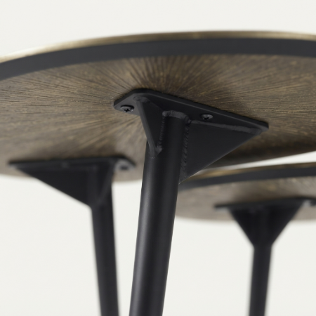 Picture of Organic Coffee Table Miya Ray Metal
