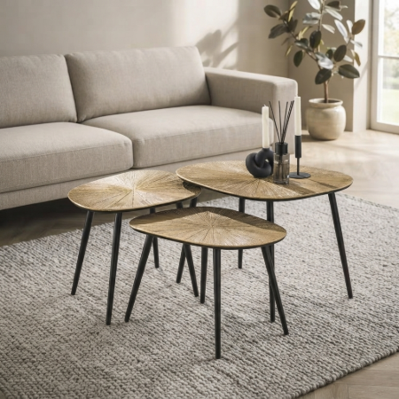 Picture of Organic Coffee Table Katrell Ray Metal