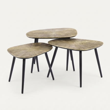 Picture of Organic Coffee Table Katrell Ray Metal