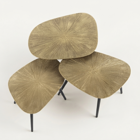 Picture of Organic Coffee Table Katrell Ray Metal