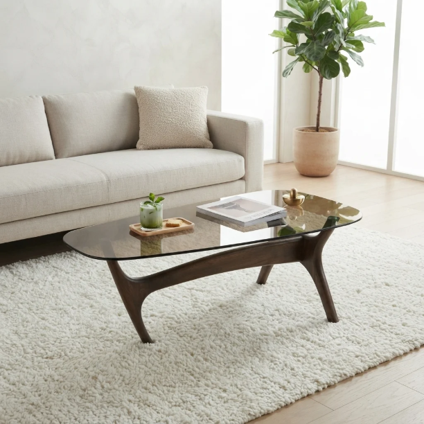 Picture of Organic Coffee Table Flash Mango wood and glass