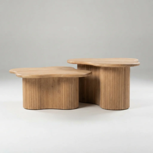 Picture of Organic Coffee Table Fall Mango Wood, Set of 2 pieces