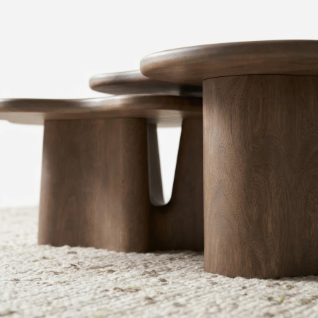 Picture of Organic Coffee Table Fall Mango Wood, Set of 2 pieces